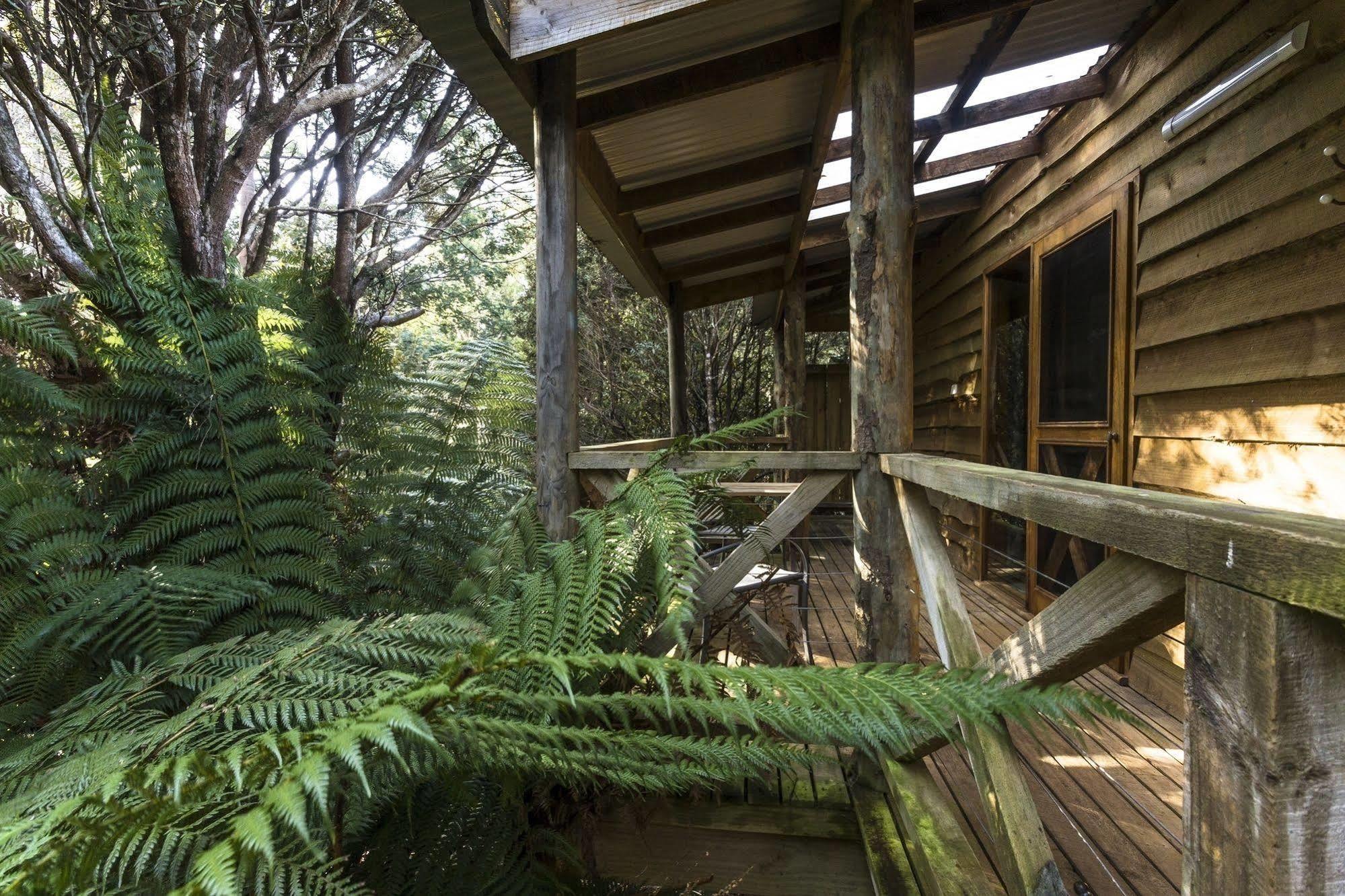 Cradle Forest Inn Moina Eksteriør billede